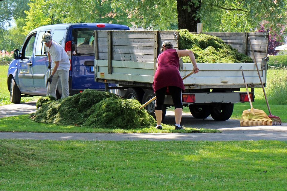 Nowoczesne urządzenia do walki z insektami - przegląd sklepów